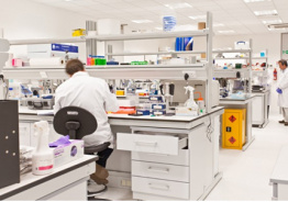 АТЕРОСКЛЕРОЗ. ВЫСОКОЕ КРОВЯНОЕ ДАВЛЕНИЕ