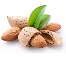 Употребление миндаля укрепляет здоровье