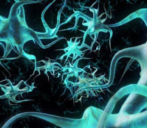 Коллоидная природа рака