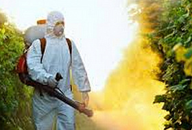 Тотальная химизация жизни или пестициды & Co в пищевых продуктах