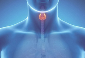 Обычные предметы домашнего обихода, которые разрушают щитовидку