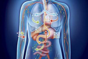 ВАЖНО! Чем грозит закисление организма