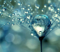 Какие заболевания лечит МЕРТВАЯ вода! И какими свойствами обладает? 