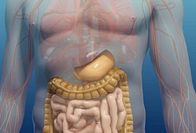 Внимание! Продукты, которые провоцируют преждевременное старение