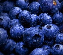 ПЯТЕРКА ЛУЧШИХ ПРИРОДНЫХ АНТИБИОТИКОВ