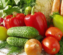 Нитраты в овощах