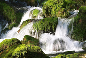 КАКУЮ ВОДУ ПИТЬ?