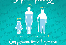 Вода и организм
