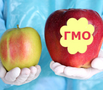 Продукты с ГМО приводят к мужскому бесплодию