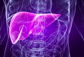 Как убить печень будучи вегетарианцем