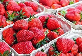 Ягодный кошмар: житель Подмосковья умер, поев клубники, семья в реанимации