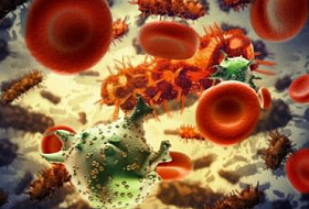 ВНИМАНИЕ! Факторы разрушения организма