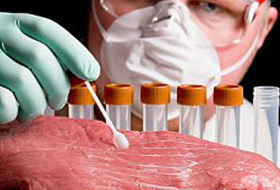 Наше мясо пичкают антибиотиками