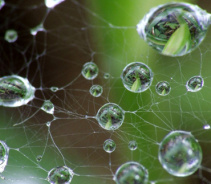 Использование воды с разными уровнями pH