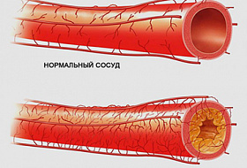 Наука. Kрупнейшая афера XX века
