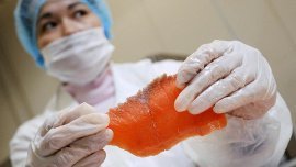  «Росконтроль» назвал единственную безопасную семгу 