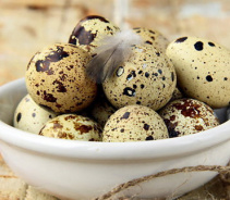 Антибиотики в яйцах: предприятие уничтожило 15 тысяч перепелок