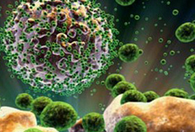 Продукты, провоцирующие рак, продукты против рака, противораковые продукты