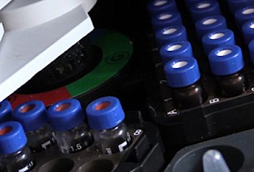  В мясе цыплят-бройлеров и форели обнаружены антибиотики