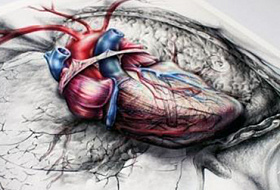 Органы ВСЕГДА болеют парами