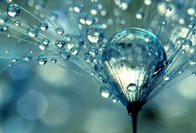 Какие заболевания лечит МЕРТВАЯ вода! И какими свойствами обладает? 