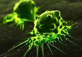 Кто запускает в ход раковую болезнь в нашем организме?