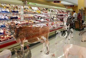 ВОЗ добавила мясо в список канцерогенов, вызывающих рак