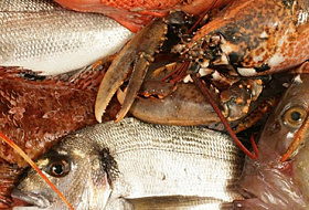 Какую рыбу мы едим— Вы будете поражены