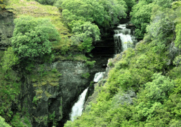 Щелочная вода – подарок природы