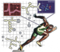 Энергетические процессы в организме