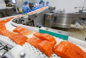 Токсиколог: «Норвежский лосось - самая токсичная еда во всём мире»