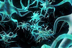 Cancer Research UK: каждый второй человек может заболеть раком