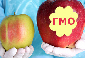 Продукты с ГМО приводят к мужскому бесплодию