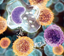 ДЕТОКСИКАЦИЯ ВОДОЙ