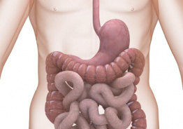 Пищеварительные проблемы