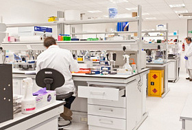 АТЕРОСКЛЕРОЗ. ВЫСОКОЕ КРОВЯНОЕ ДАВЛЕНИЕ