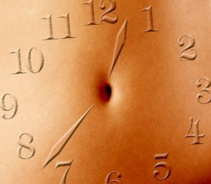 Питание и биологический ритм биочасов