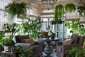 Эти комнатные растения опасны для здоровья и жизни