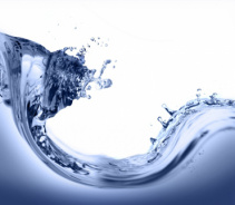 Степень гидратации, водный баланс и жажда