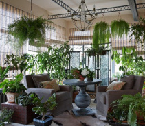 Эти комнатные растения опасны для здоровья и жизни