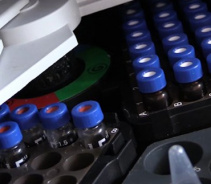  В мясе цыплят-бройлеров и форели обнаружены антибиотики