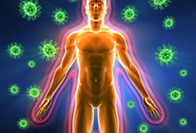 Что такое иммунная система и как она работает