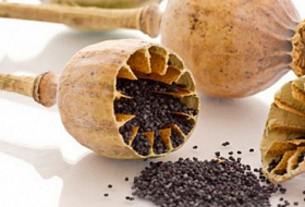 Как всех обманули насчёт кальция