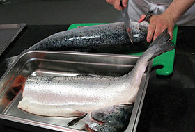 Норвежский лосось — самая токсичная еда во всём мире